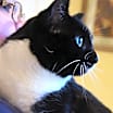 Thumbnail photo of Pam #4