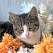 Thumbnail photo of Mindy #1
