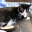 Thumbnail photo of Shirley #1