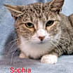 Thumbnail photo of Sophia #1
