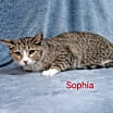 Thumbnail photo of Sophia #2