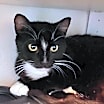 Thumbnail photo of Naomi #2
