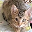Thumbnail photo of Lucas #1