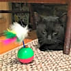 Thumbnail photo of JASPER - Heartful Treasure #1