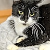 Thumbnail photo of Allie #4
