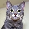 Thumbnail photo of Leah #1