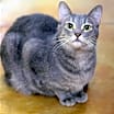 Thumbnail photo of Leah #2