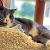 Thumbnail photo of Lindsay #1