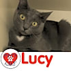Thumbnail photo of Lucy - Bob #1