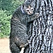 Thumbnail photo of Sugar #2