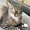 Thumbnail photo of Kit kat #2