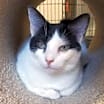 Thumbnail photo of Penelope #1