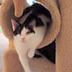 Thumbnail photo of Penelope #3