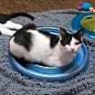 Thumbnail photo of Penelope #4
