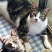 Thumbnail photo of Pixel #1