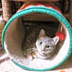 Thumbnail photo of Pixel #2