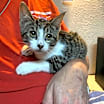 Thumbnail photo of Mariel #3
