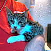 Thumbnail photo of Mariel #4