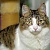 Thumbnail photo of Zoey 081621 #1
