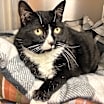 Thumbnail photo of Bea #3