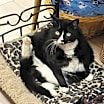 Thumbnail photo of Bea #4