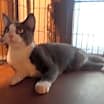 Thumbnail photo of Lola #2