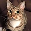 Thumbnail photo of Walter #1