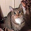Thumbnail photo of Walter #2