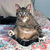Thumbnail photo of Walter #3