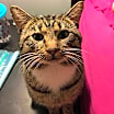 Thumbnail photo of Walter #4