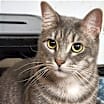 Thumbnail photo of Radar Tom #3