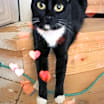 Thumbnail photo of Bernard #2