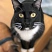 Thumbnail photo of Bernard #3