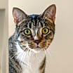 Thumbnail photo of Gretchen #1