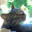 Thumbnail photo of Gretchen #4
