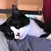 Thumbnail photo of JOLLY JOY #3