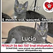 Thumbnail photo of Lucy - Bob #4