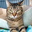 Thumbnail photo of Styx #4