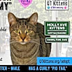 Thumbnail photo of Hamilton #2