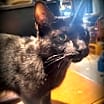 Thumbnail photo of Sabrina #1