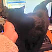 Thumbnail photo of Sabrina #4