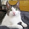 Thumbnail photo of Margo Elizabeth #1