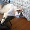 Thumbnail photo of Margo Elizabeth #2