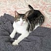 Thumbnail photo of Margo Elizabeth #3