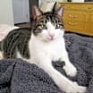 Thumbnail photo of Margo Elizabeth #4