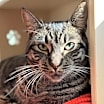 Thumbnail photo of Lorelai #1