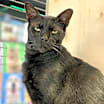 Thumbnail photo of George #1