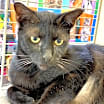 Thumbnail photo of George #2