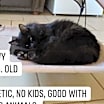Thumbnail photo of Chewy #2