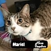 Thumbnail photo of Mariel #1
